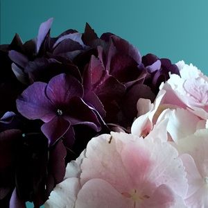 Meet your Posher, Tina